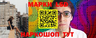 PSILOCYBIN Новокубанск