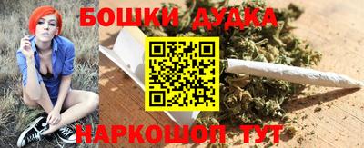соль ск Новодвинск