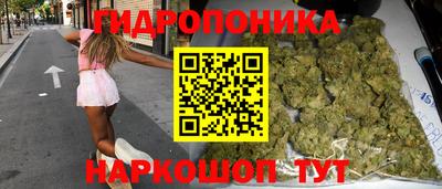 jwh Новозыбков