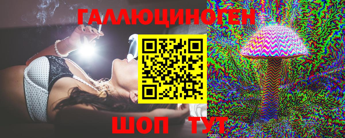 Сокол  Галлюциногенные грибы мухоморы  где купить   Вход с VPN  Галлюциногенные грибы прущие грибы 