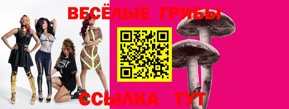 Галлюциногенные грибы Cubensis Сокол